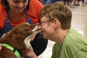 The Arc - Pet Therapy